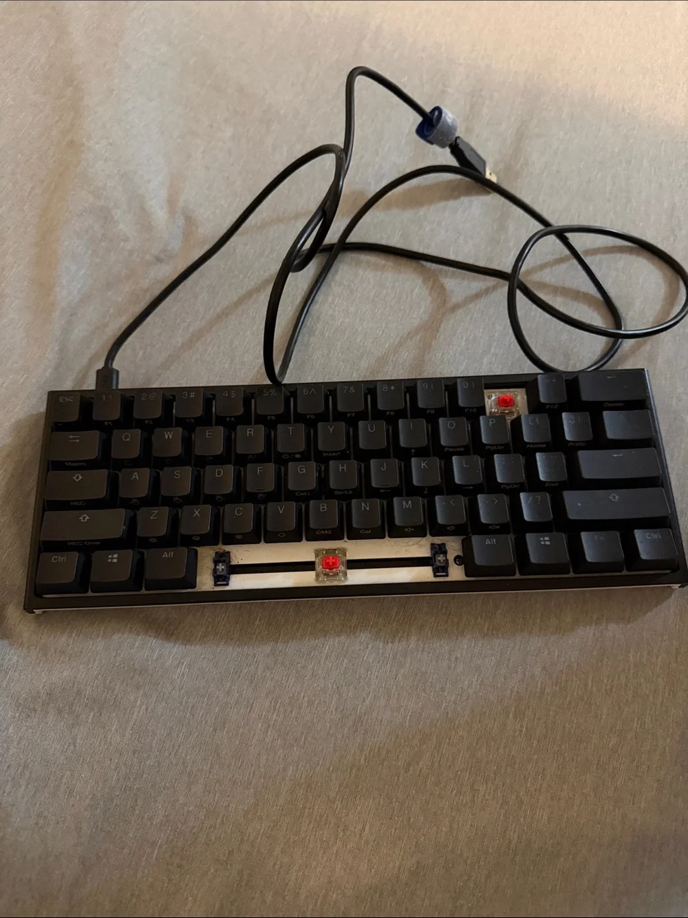 Compact Wired Tenkeyless Mechanical Keyboard - Black, Cherry Red Switches